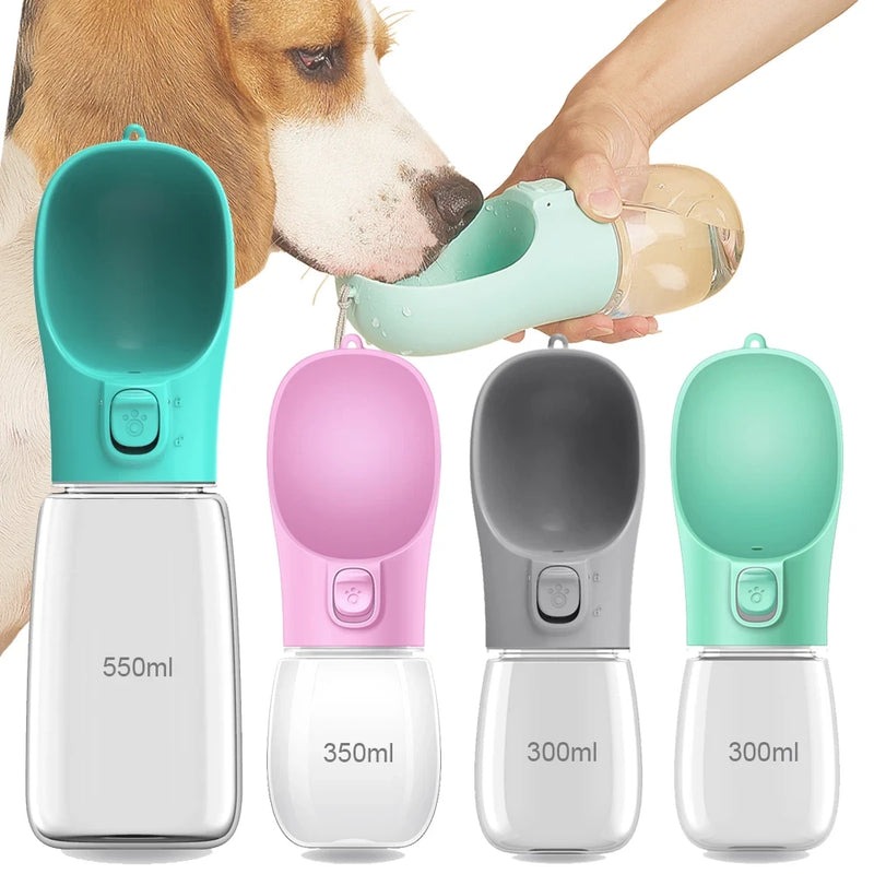 The Walkies Water Bottle